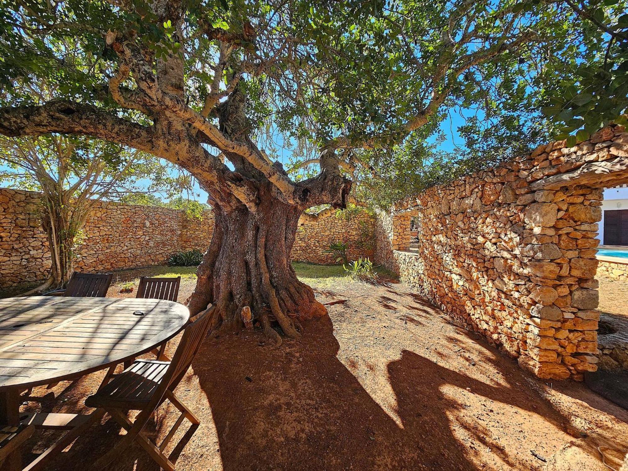 Cala Jondal "Can Amanaya" Sant Josep de sa Talaia Exterior photo